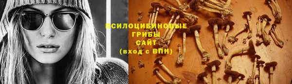 spice Надым