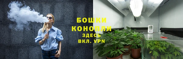 СК Аркадак