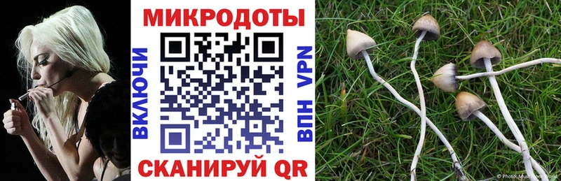 где купить наркоту  Спасск-Рязанский  Псилоцибиновые грибы GOLDEN TEACHER 